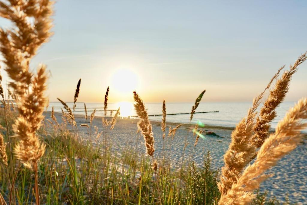 Ferienwohnung Strandurlaub Бёргеренде-Ретвиш Экстерьер фото